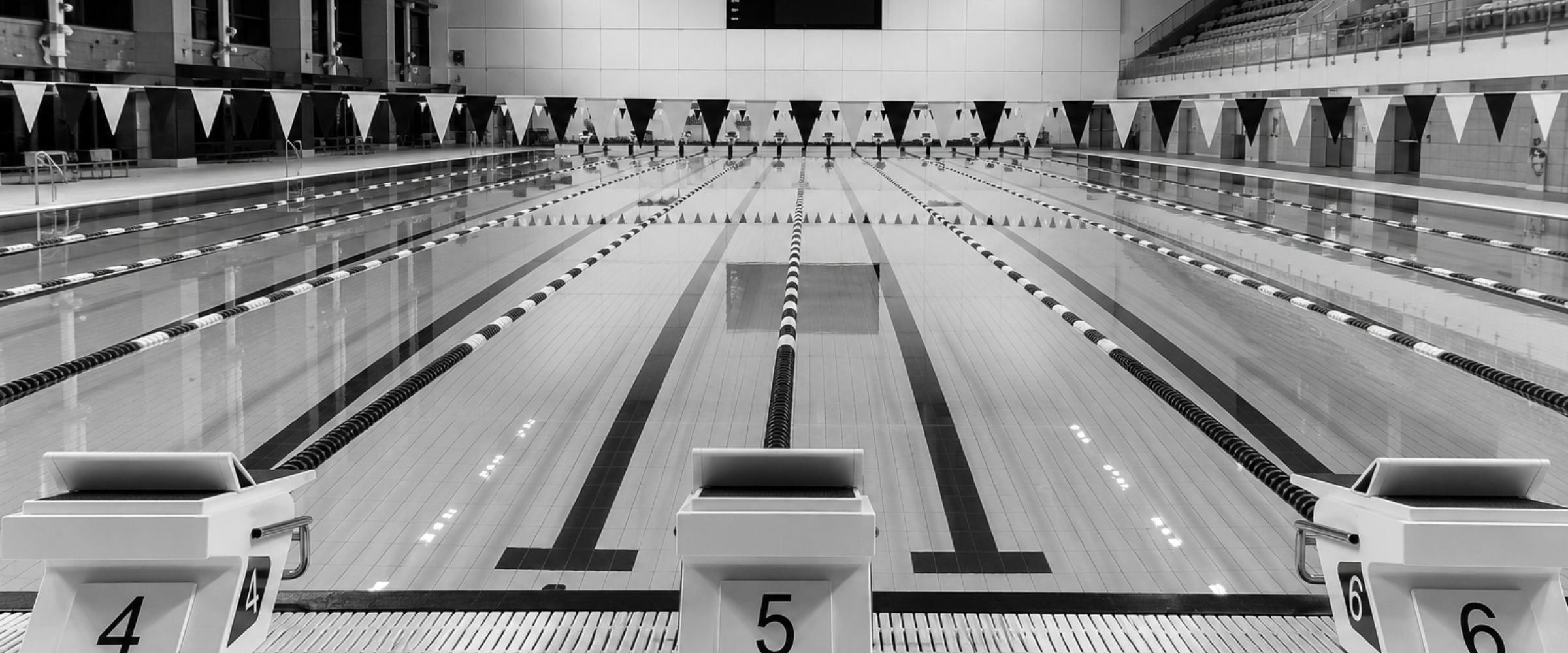 Swim Collection